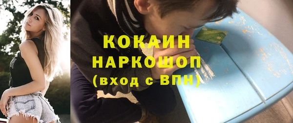 ешки Домодедово