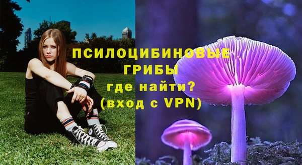 стафф Лабытнанги