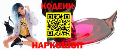 СК Гатчина