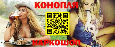 СК Гатчина
