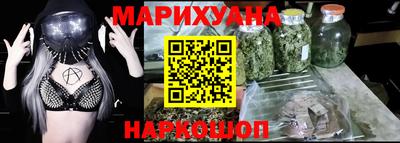 СК Гатчина