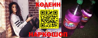 СК Гатчина