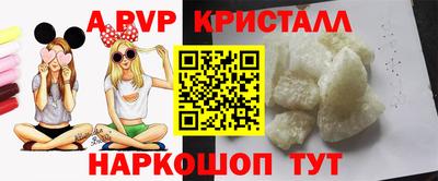 СК Гатчина