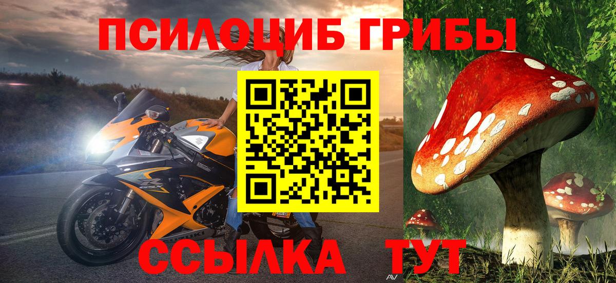 Галлюциногенные грибы мицелий  Псилоцибиновые грибы Psilocybe  Ангарск  где продают наркотики  Вход с VPN 