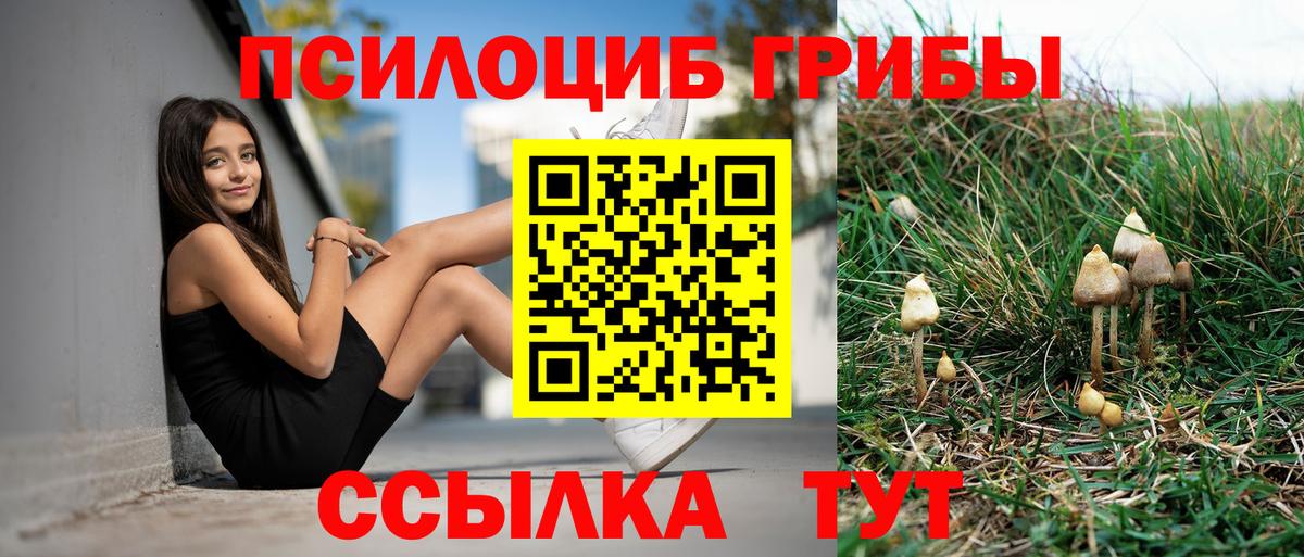 Галлюциногенные грибы GOLDEN TEACHER  Вход с VPN  Ангарск 