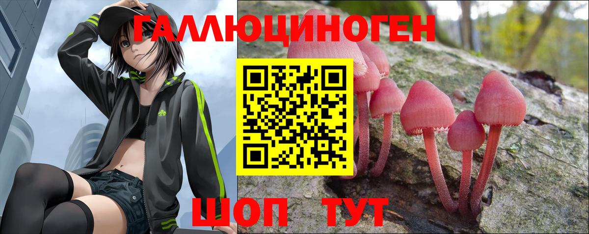Псилоцибиновые грибы Psilocybine cubensis Ангарск