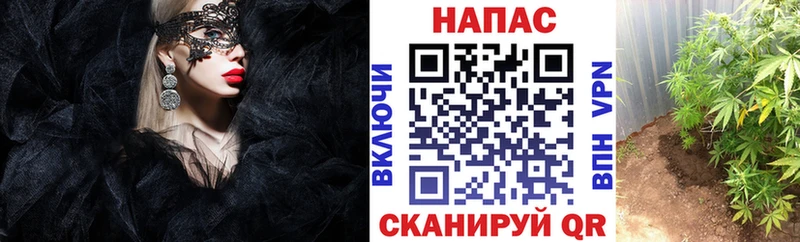 купить наркотик Ангарск Шишки марихуана OG Kush